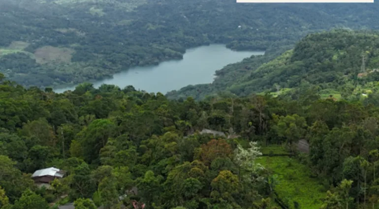 Lanka Coffee portfolio webburo spring Vierkant