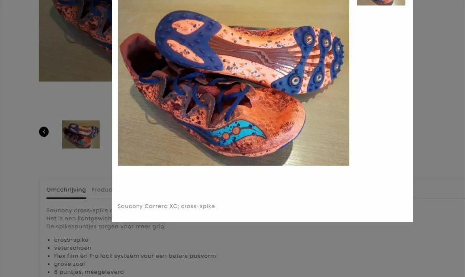 Portfolio Webburo Spring Spikeshop Prestashop Webshop Verticaal 2