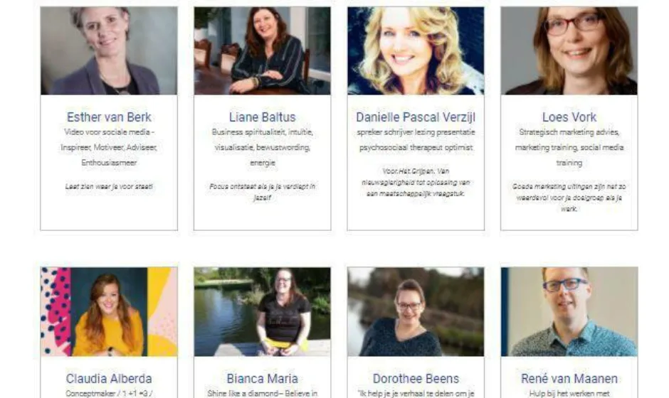 Verschil in zaken portfolio verticaal 2 webburo spring