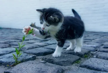 Houd je afbeeldingen zo klein mogelijk van Webburo Spring BV