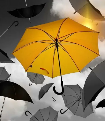 Heldere USP's Webburo Spring BV